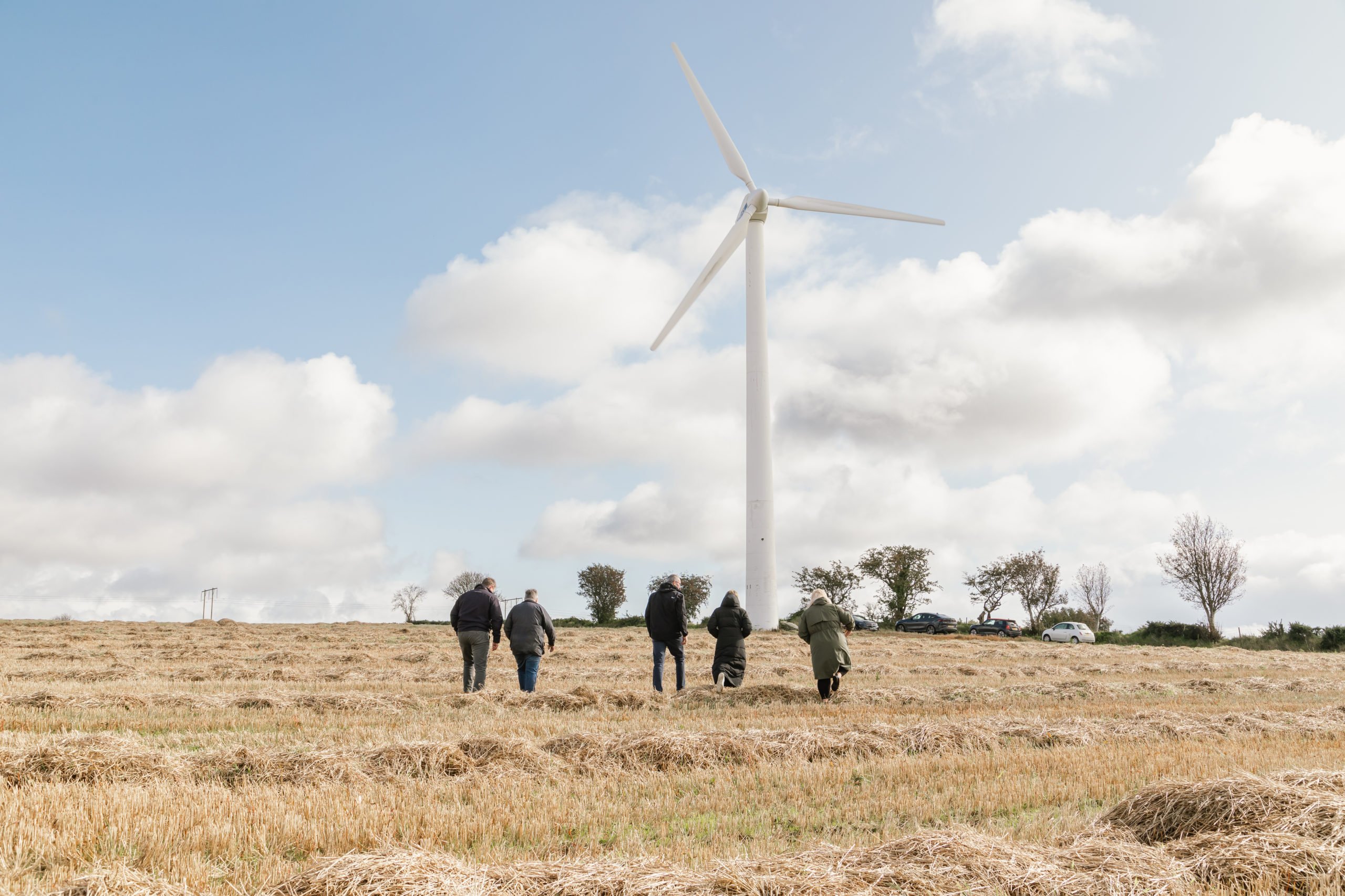 Harness the Power of Wind Energy in 2024: A Sustainable Choice