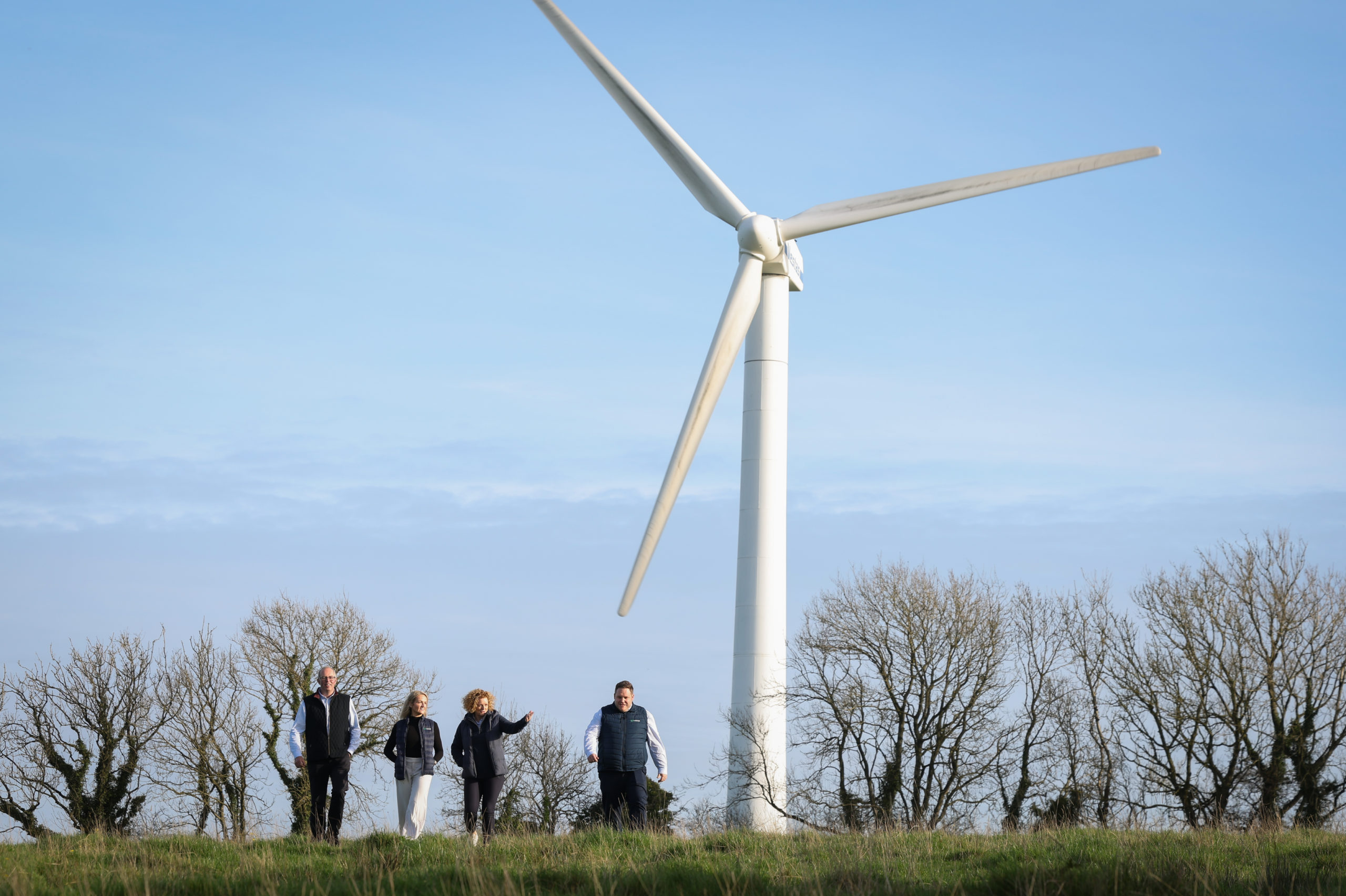 Why switching to 3T Power’s Green Energy is the smartest choice for Northern Ireland Businesses